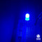 10pcs 5mm Blue LED